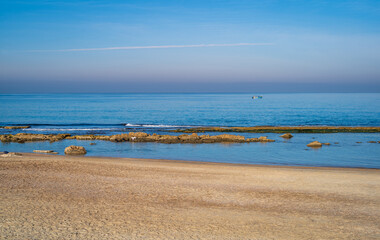 White dog on the rock at Mediterranean sea beach. Tel Aviv, Israel.