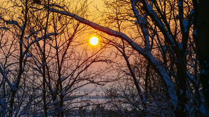 Winter sunset in snow