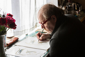 Mature artist at work drawing on paper, a wildlife study of birds.  
