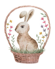 Illustration of an Easter bunny in a basket with flowers. Watercolor easter bunny illustration. Happy easter bunnies.