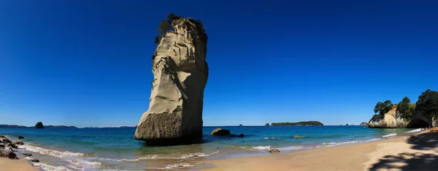 Foto op Canvas Cathedral Cove Bucht in Coromandel am Strand der Mercury Bay auf der Nordinsel in Neuseeland  © Jens 