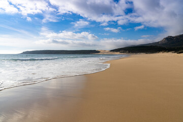 peaceful empty golden sand beach with waves rolling in and pine forest and a large sand dune in the background