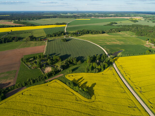 Obraz premium landscape with field and sky