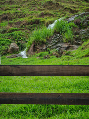 waterfall in the forest