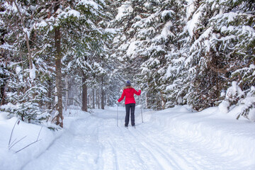 A girl in a red jacket goes skiing in a snowy forest in winter.
