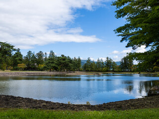 lake and forest