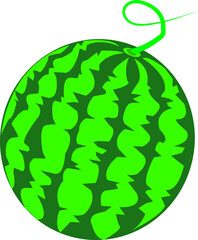 Illustration of a large ripe watermelon.