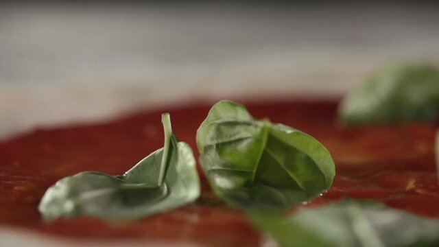 Basil with a very well-highlighted leaf texture, sexy falls on red pizza sauce MARGARITES