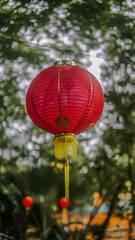  Chinese New Year lantern