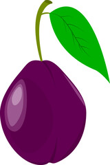 Illustration of a blue ripe plum.