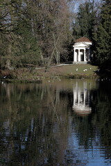 Fototapeta na wymiar Riflesso sul laghetto - Villa Reale - Monza