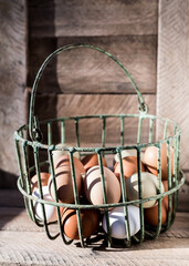 Farm fresh eggs in antique metal green basket  with rustic barn wall background