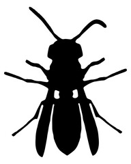Schwarze Silhouette einer Wespe auf weiss