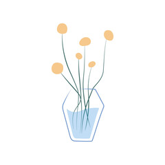 Bouquet in the glass vase. Decorative Craspedia. Vector hand-drawn illustration. Spring bunch of blooming flowers