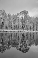 Schneebedeckte kahle Bäume spiegeln sich im Gosener Kanal zwischen Erkner und Schmöckwitz © ebenart