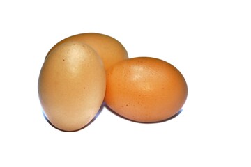 Close up of eggs on white background