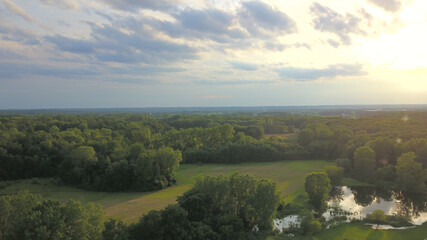 Obraz premium sunset in the woods