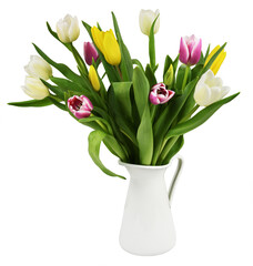 Bouquet of spring colorful tulip flowers in a white jar