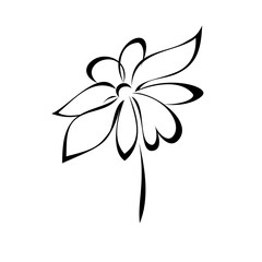 one stylized blooming flower on a short stalk without leaves in black lines on a white background