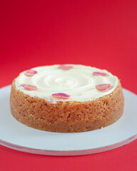 Classic cheesecake on red background