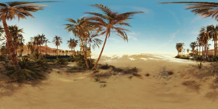 VR360 view of palm oasis in desert