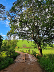 path in the park