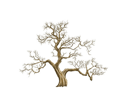 dry and dead old tree logo hand drawn vector illustrations
