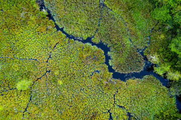 texture of green moss and small creek