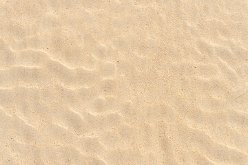Naklejka na ściany i meble Fine beach sand in the summer sun