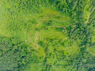 The valley of Pokhara in Nepal