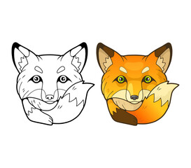 little cute fox, coloring book, funny illustration