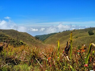 landscape with mountains