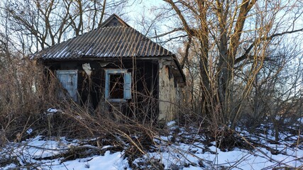 old house in the forest
