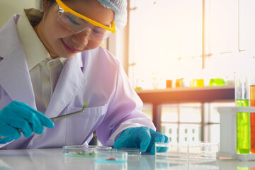 Asia woman scientist working in laboratory.Chemical scientist are doing experiments.She Experiment,chemical,study.Photo concept develop and medicine.