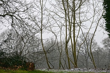 Jour de neige à Barré Briec en Bretagne Finistère Cornouailles France	