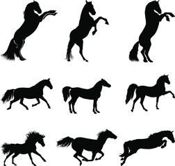 Horse silhouette, running horse silhouette