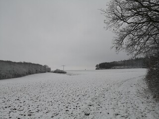 Winter in Rheinhessen