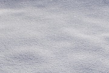 Paltiškiai forest - 6 February 2021: Pure and fluffy snow