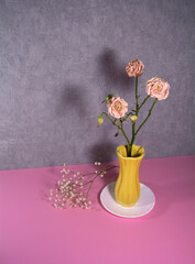 Dried roses in a yellow vase on a white saucer. Below - a sprig of small white flowers, gypsophila. Withering, aging, sadness and death concept