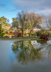 Obraz premium Trees reflected in a partly frozen pond