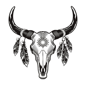 Dead bull head tattoo design. Monochrome element with horny animal skull and red Indian feathers vector illustration. Ethnic culture concept for symbols and labels templates