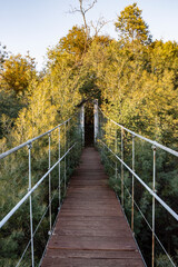 Fototapeta na wymiar Walk through the suspension bridge of calvelo and its surroundings in pontevedra.