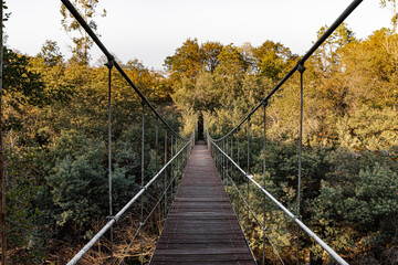 Walk through the suspension bridge of calvelo and its surroundings in pontevedra.