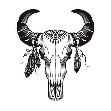 Dead horny animal head tattoo design. Monochrome element with bull skull and red Indian feathers vector illustration. Ethnic culture concept for symbols and labels templates