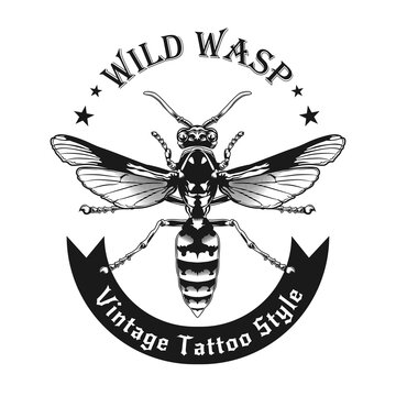 Monochrome wild wasp stylish banner vector illustration. Black and white top view of wasp. Dangerous insects and fauna concept can be used for retro template, banner or poster