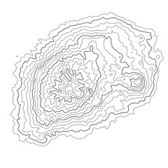 Topographic map background. Grid map. Pattern of contour lines. Abstract vector illustration.