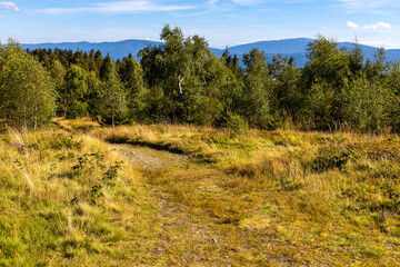 Fototapeta na wymiar Panoramic view of grassy Leskowiec peak in Little Beskids with Babia Gora peak in southern Beskidy mountains near Andrychów in Lesser Poland