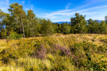 Panoramic view of grassy Leskowiec peak in Little Beskids with Babia Gora peak in southern Beskidy mountains near Andrychów in Lesser Poland © Art Media Factory