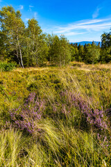 Panoramic view of grassy Leskowiec peak in Little Beskids with Babia Gora peak in southern Beskidy mountains near Andrychów in Lesser Poland © Art Media Factory