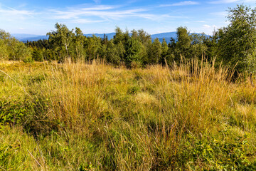 Panoramic view of grassy Leskowiec peak in Little Beskids with Babia Gora peak in southern Beskidy mountains near Andrychów in Lesser Poland © Art Media Factory